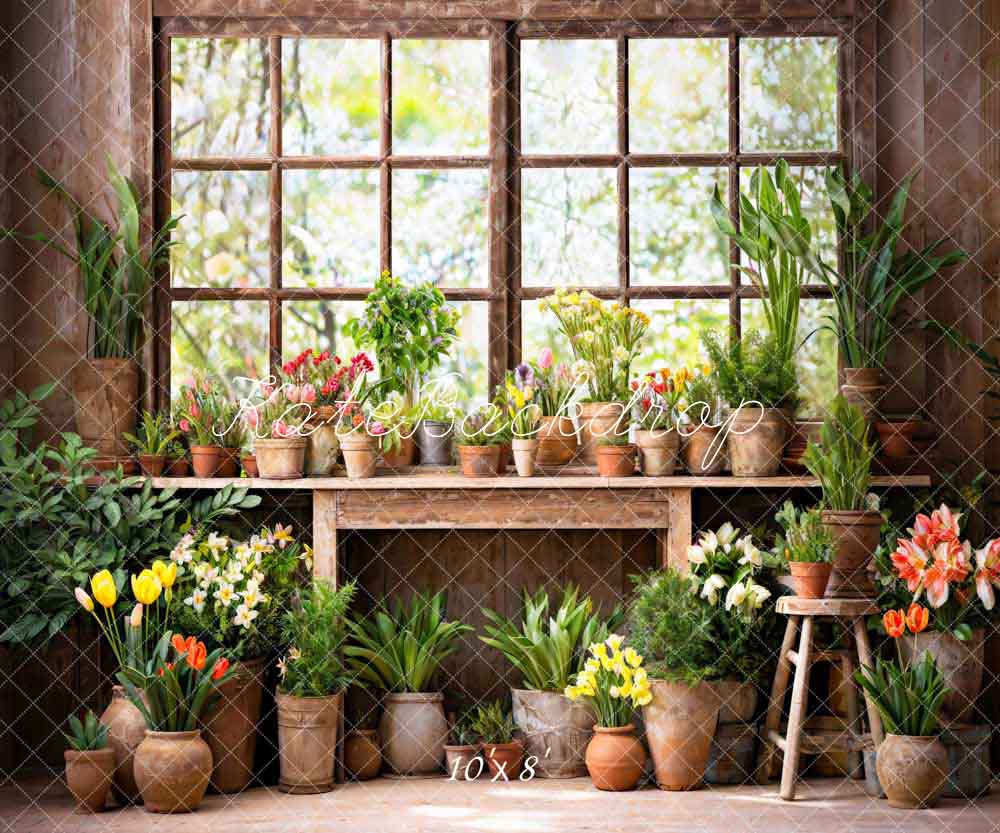 Kate Spring Green Plant Window Room Backdrop Designed by Chain Photography