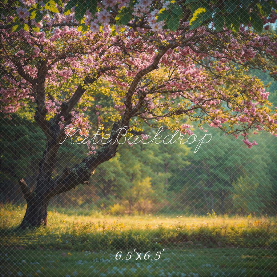 Cherry Blossom Spring Meadow Backdrop