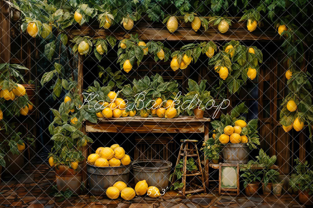 Kate Summer Lemon Warehouse Backdrop Designed by Emetselch