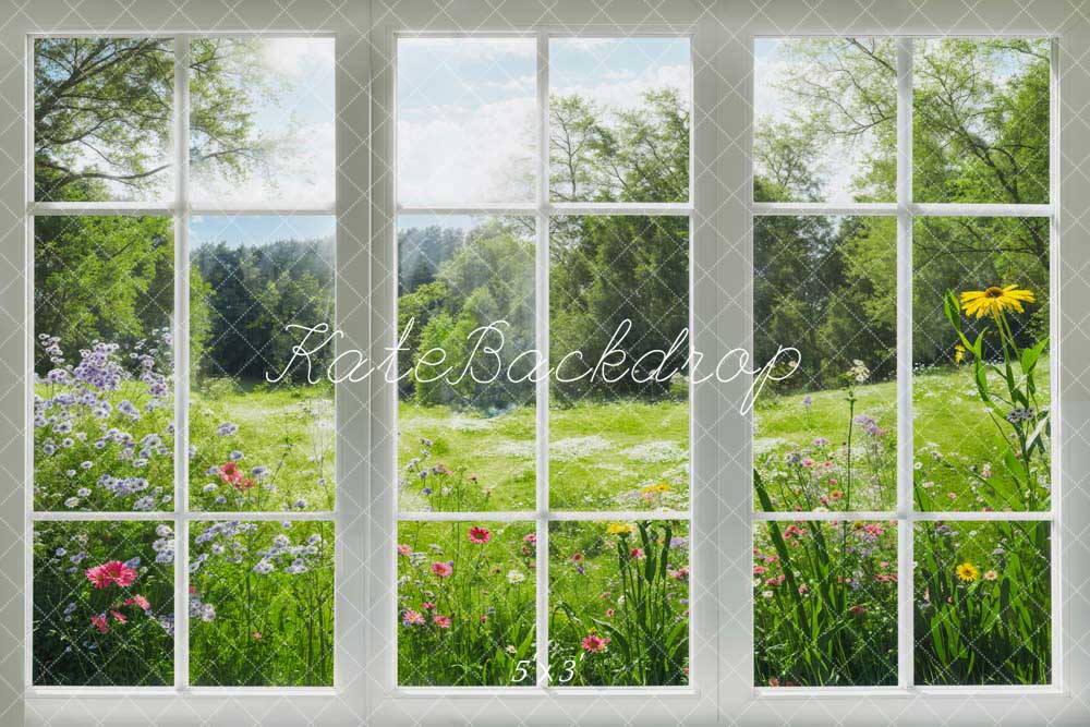 Kate Spring Window Scenery Backdrop Designed by Emetselch