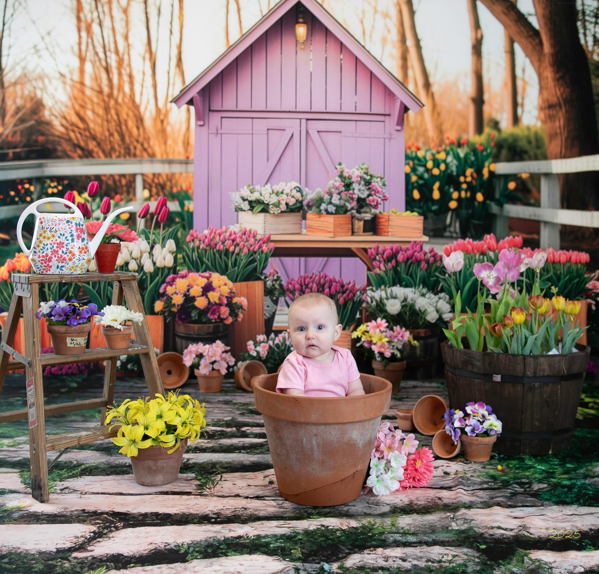 Invernadero de Primavera con Fondo de Tulipanes Diseñado por Patty Robert