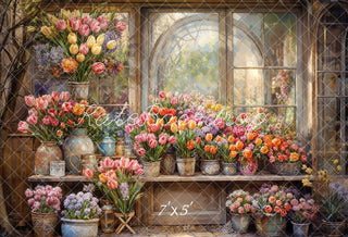 Lentebloemen Raam Kas Foto Achtergrond Ontworpen door Chain Photography