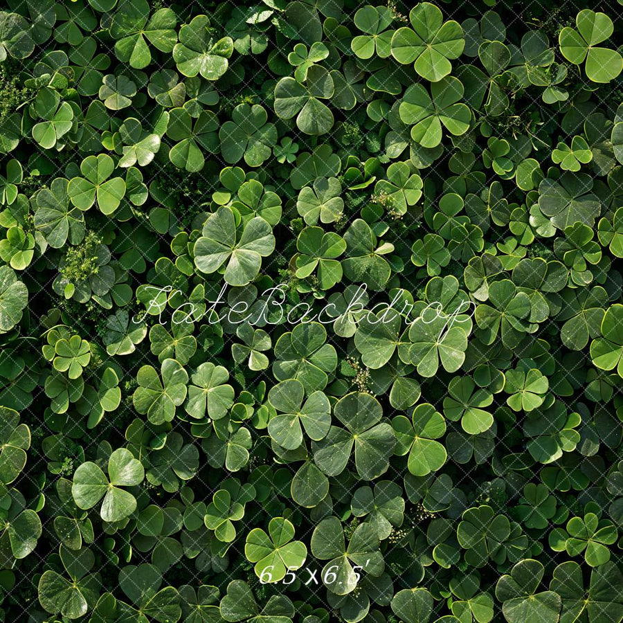 Lush Green Clover Field Photography Backdrop