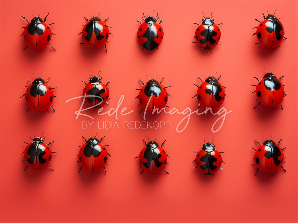 Kate Nature Red Ladybugs Backdrop Designed by Lidia Redekopp