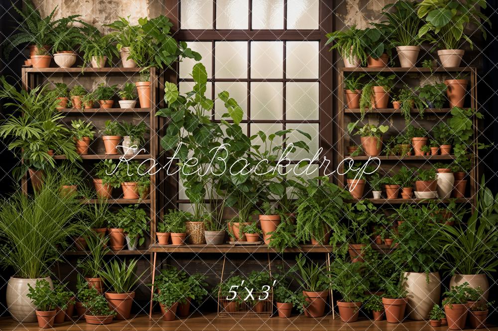 Kate Spring Indoor Green Plants Garden Wooden Window Room Backdrop Designed by Emetselch