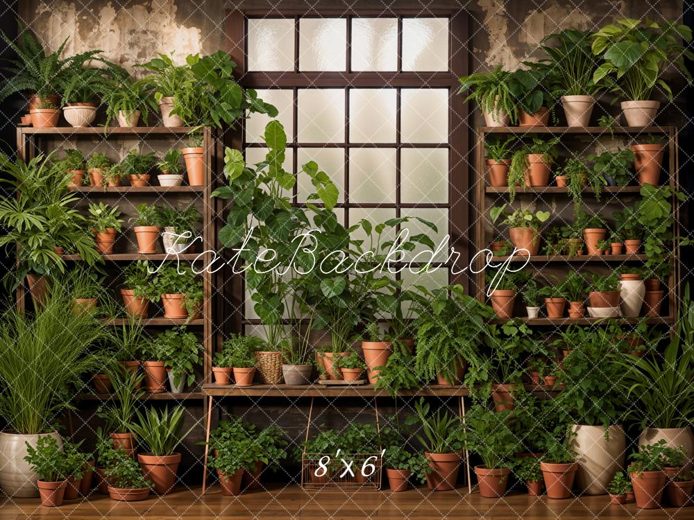 Kate Spring Indoor Green Plants Garden Wooden Window Room Backdrop Designed by Emetselch