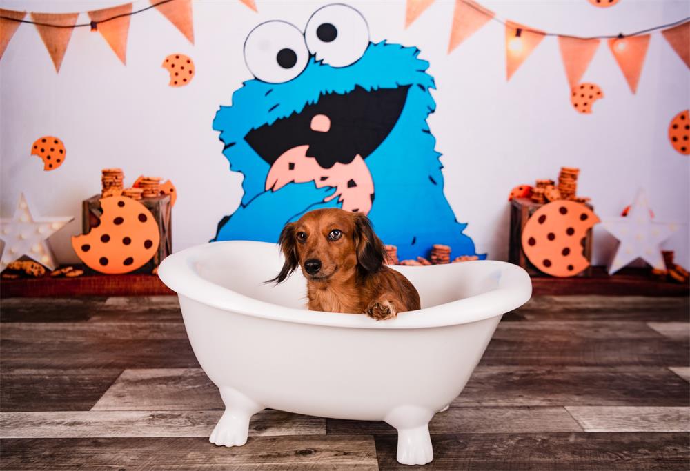 Kate Pet Blue Cartoon Cookie Monster Cake Smash Birthday Backdrop Designed by Megan Leigh Photography