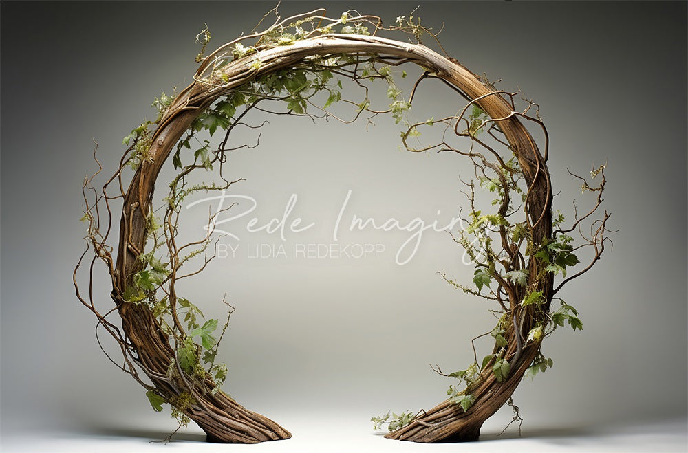 Kate Spring Brown Twisted Branch Arch Backdrop Designed by Lidia Redekopp