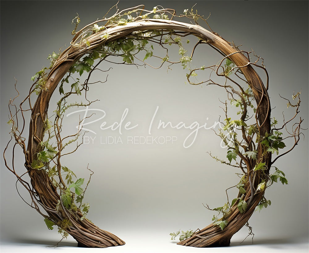 Kate Spring Brown Twisted Branch Arch Backdrop Designed by Lidia Redekopp