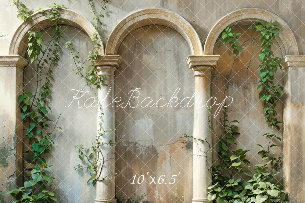 Kate Spring Green Plant Shabby Vintage Beige Arch Wall Backdrop Designed by Emetselch