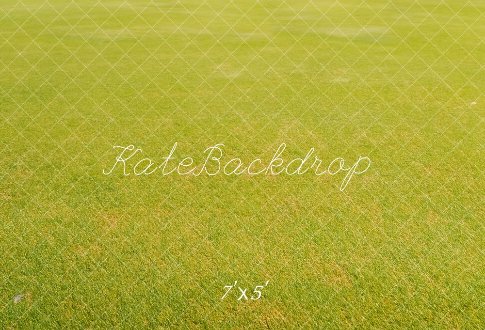 Lichtgroene grasvloer achtergrond ontworpen door Kate Afbeelding