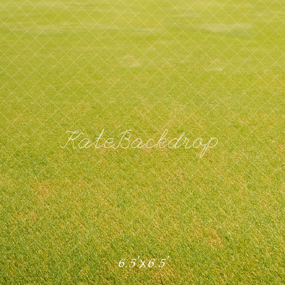 Lichtgroene grasvloer achtergrond ontworpen door Kate Afbeelding