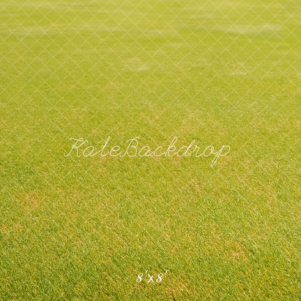 Lichtgroene grasvloer achtergrond ontworpen door Kate Afbeelding