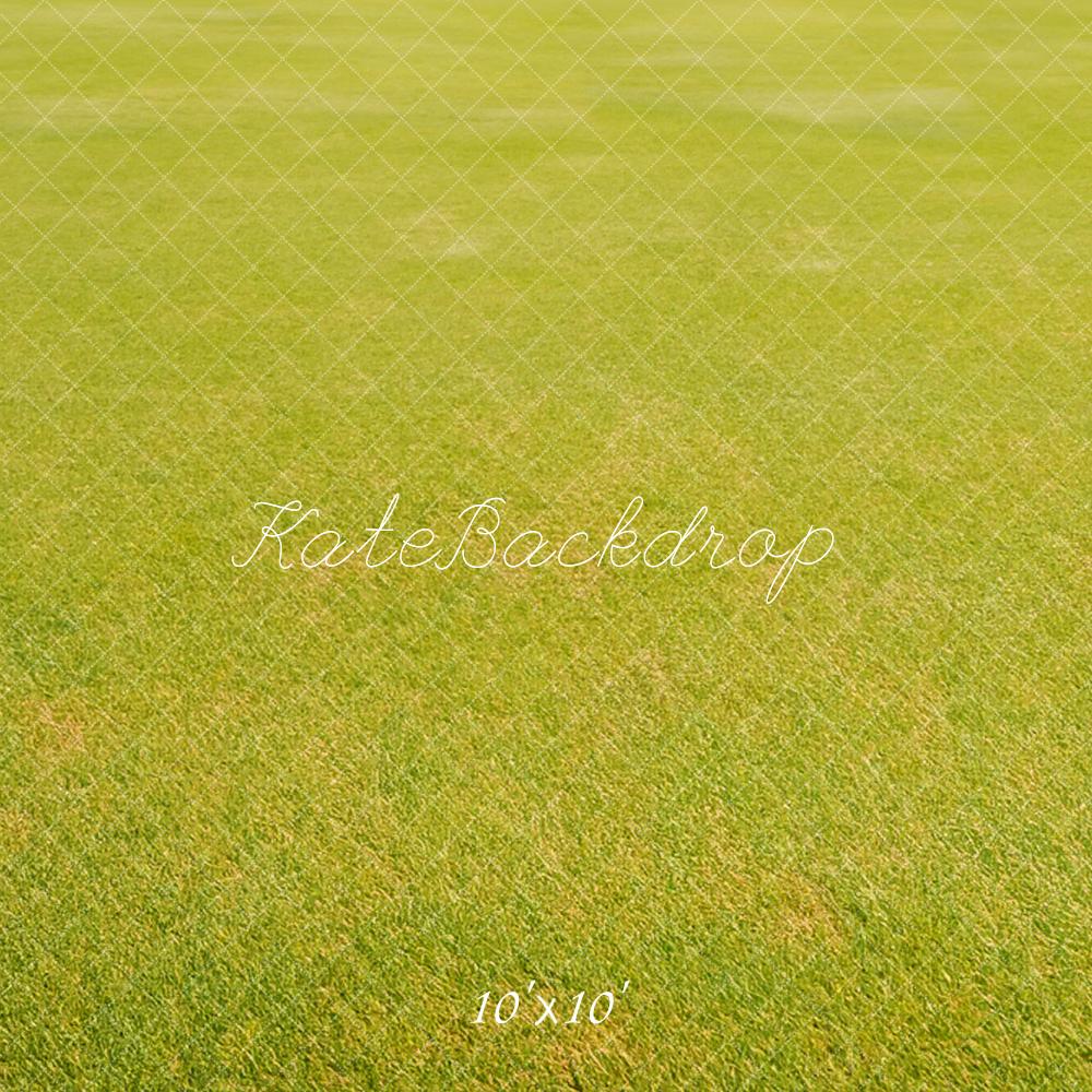 Lichtgroene grasvloer achtergrond ontworpen door Kate Afbeelding