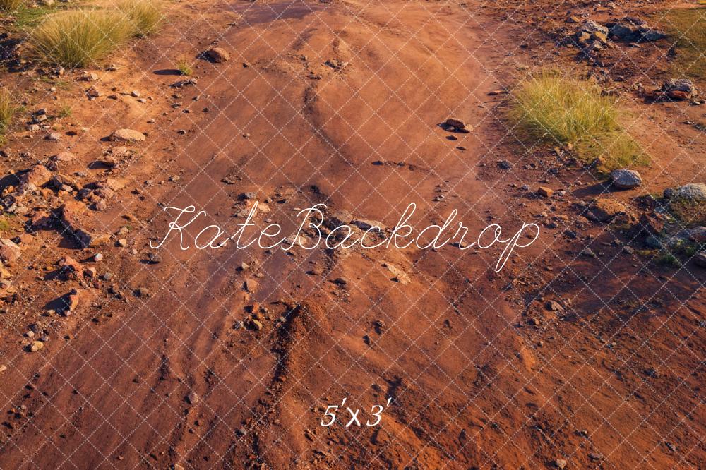 Lightning Deal #3 Kate Desert Green Plant Dark Brown Wet Sandy Road Floor Backdrop Designed by Kate Image