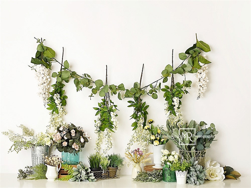 Kate Spring Green Plant Colorful Flower White Wall Backdrop Designed by Mandy Ringe Photography