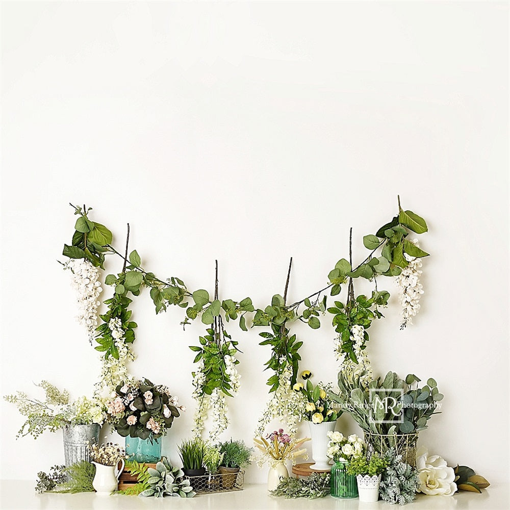 Sfondo bianco con pianta verde primaverile colorata di fiori, progettato da Mandy Ringe Photography