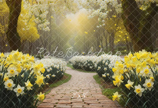 Lente Wit en Geel Bloemen Rode Bakstenen Pad Foto Achtergrond Ontworpen door GQ