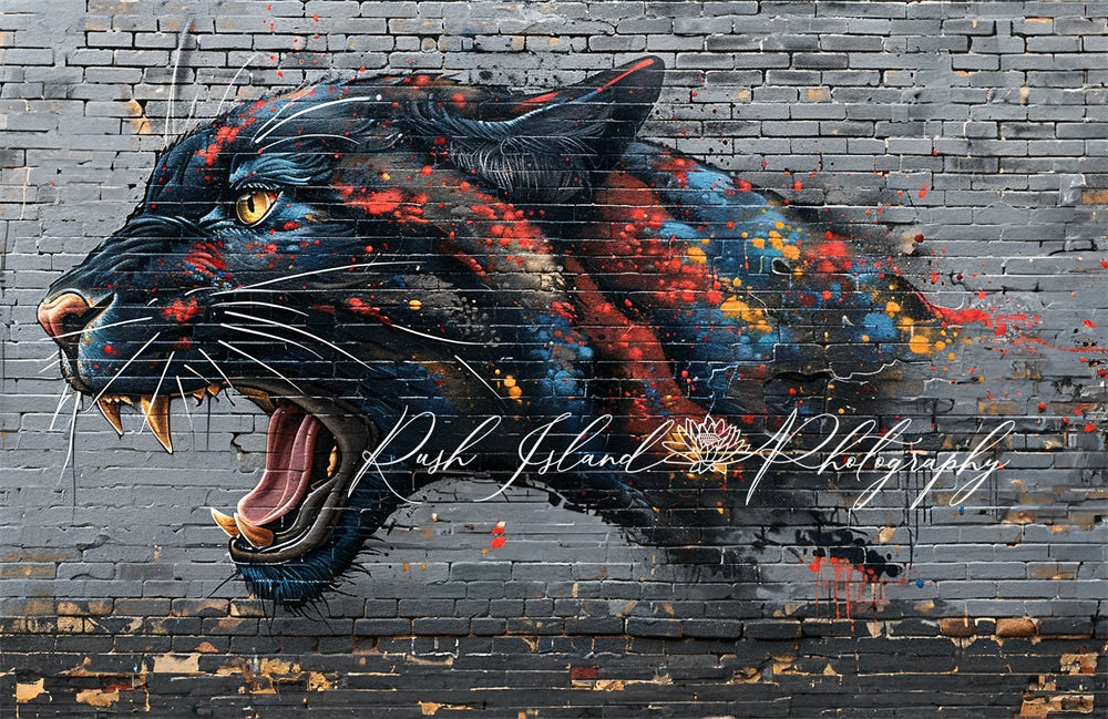 Kate Fine Art colorful Graffiti Fierce Black Panther Grey Brick Wall Backdrop Designed by Laura Bybee