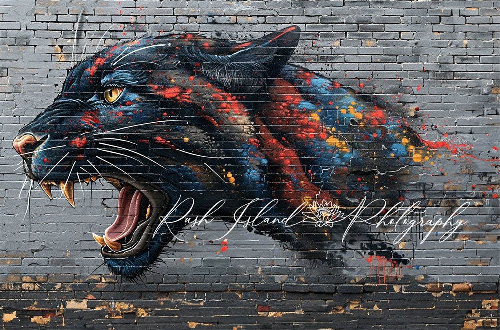 Kate Fine Art colorful Graffiti Fierce Black Panther Grey Brick Wall Backdrop Designed by Laura Bybee