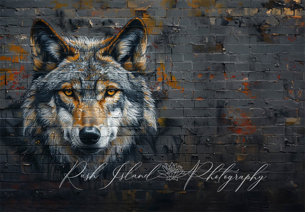 Kate Fine Art Cool Grey Wolf Graffiti Black and Brown Brick Wall Backdrop Designed by Laura Bybee