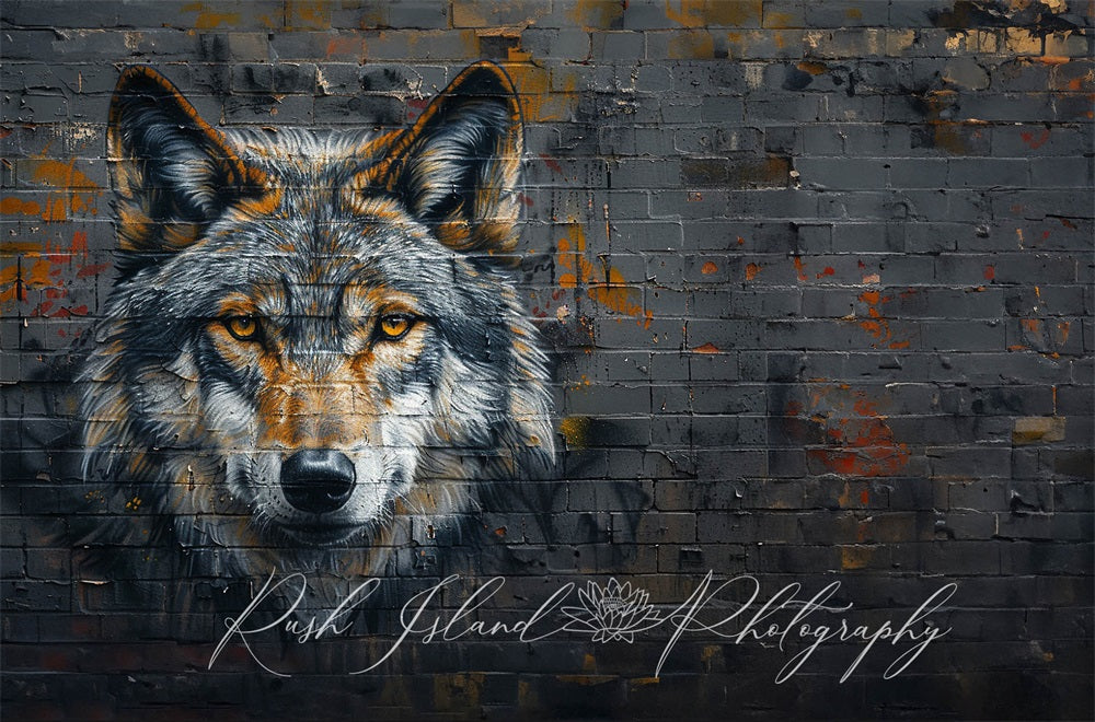 Kate Fine Art Cool Grey Wolf Graffiti Black and Brown Brick Wall Backdrop Designed by Laura Bybee