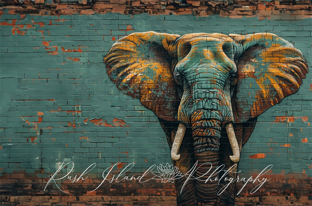 Kate Retro Dark Green Graffiti Elephant Broken Brick Wall Backdrop Designed by Laura Bybee