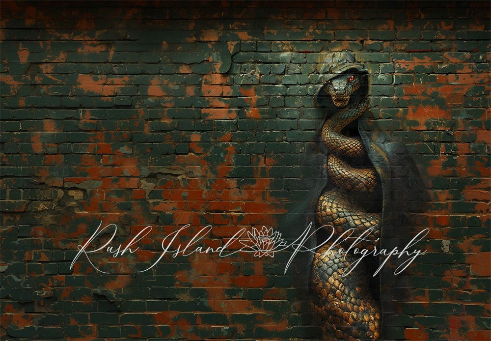 Kate Retro Cool Black Graffiti Hooded Snake Broken Red Brick Wall Backdrop Designed by Laura Bybee