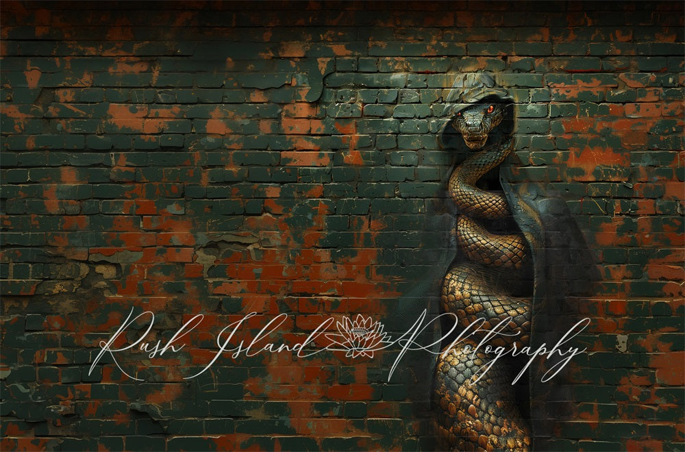 TEST kate Retro Cool Black Graffiti Hooded Snake Broken Red Brick Wall Backdrop Designed by Laura Bybee