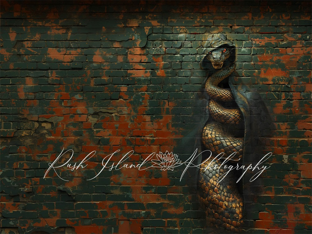 Kate Retro Cool Black Graffiti Hooded Snake Broken Red Brick Wall Backdrop Designed by Laura Bybee