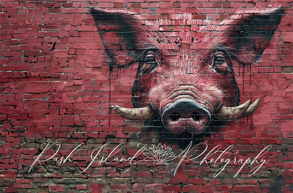 Kate Dark Red Graffiti Fierce Razorback Hog Broken Brick Wall Backdrop Designed by Laura Bybee