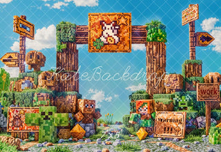 Kate Summer 3D Cartoon Block Game Model Printed Backdrop Designed by Chain Photography