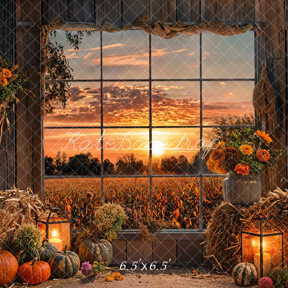 Kate Autumn Sunset Colorful Flower Pumpkin Framed Window Barn Field Backdrop Designed by Emetselch