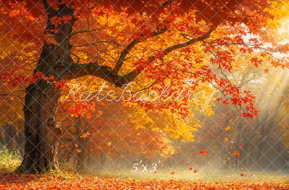 TEST kate Autumn Outdoor Fallen Leaf Red Maple Tree Backdrop Designed by Emetselch