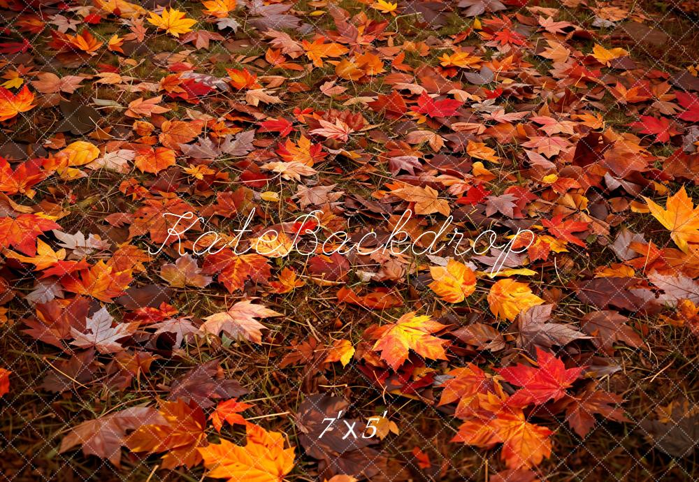 TEST kate Autumn Outdoor Forest Red Maple Leaf Floor Backdrop Designed by kate Image