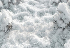 Witte Sneeuwland Vloer Foto Achtergrond Ontworpen door Kate Afbeelding
