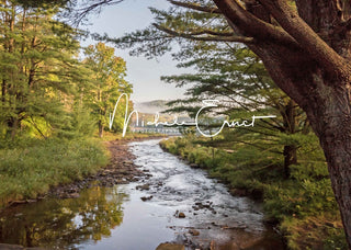 Fondo de bosque y lago al aire libre de verano en la pradera de montaña diseñado por Michele Ernst Photography.
