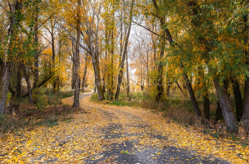 Kate Autumn Outdoor Forest Country Road Backdrop for Photography Designed by Lisa Granden