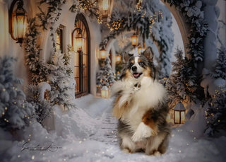 Kate Winter Christmas White Flower Arch Snowy Hallway Printed Backdrop Designed by Emetselch