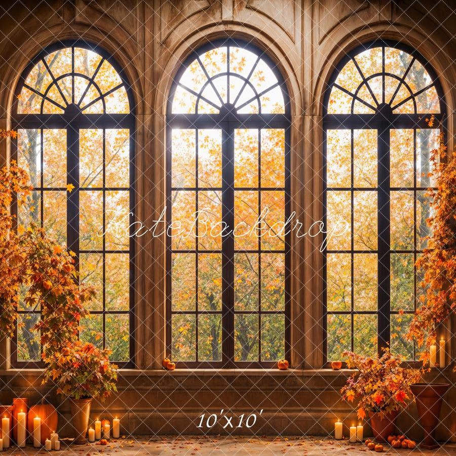 Autumnal Elegance Vintage Window Backdrop