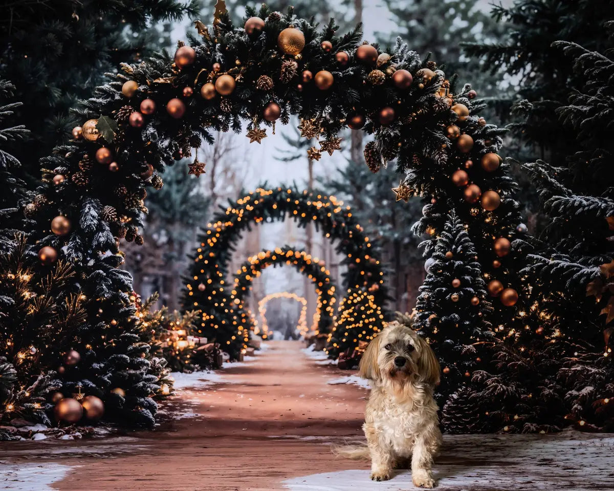 Kate Christmas Tree Archway Forest Backdrop+Winter Snowy Path Floor Backdrop