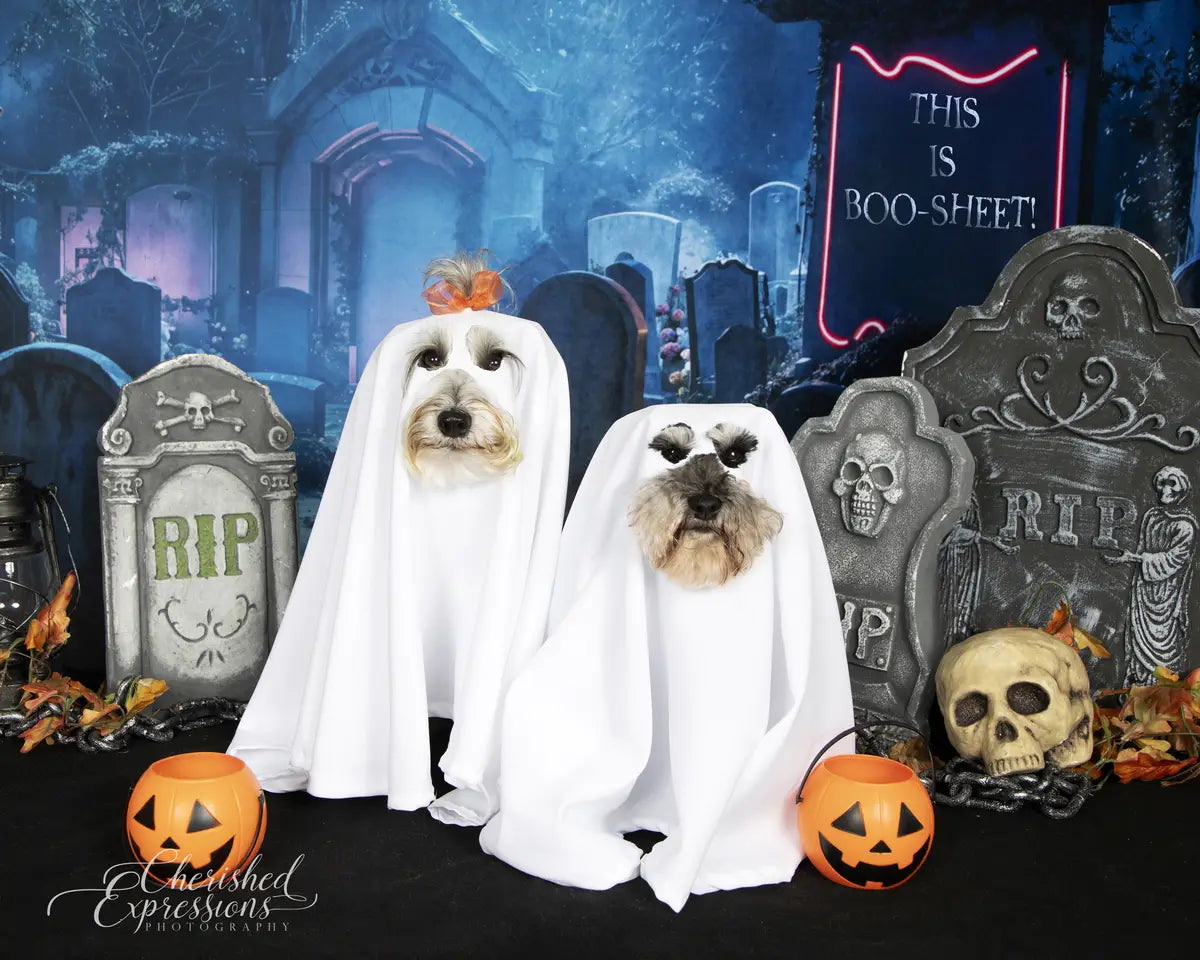 Kate Halloween Neon Graveyard Night Backdrop Designed by Emetselch