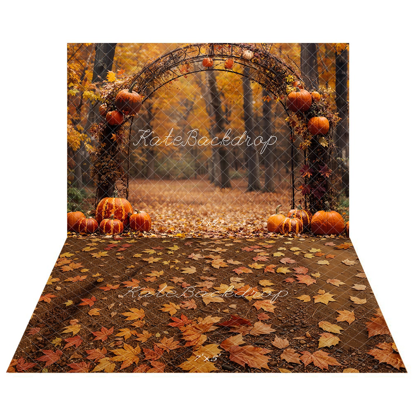 Autumn Pumpkin Arch Woodland Backdrop