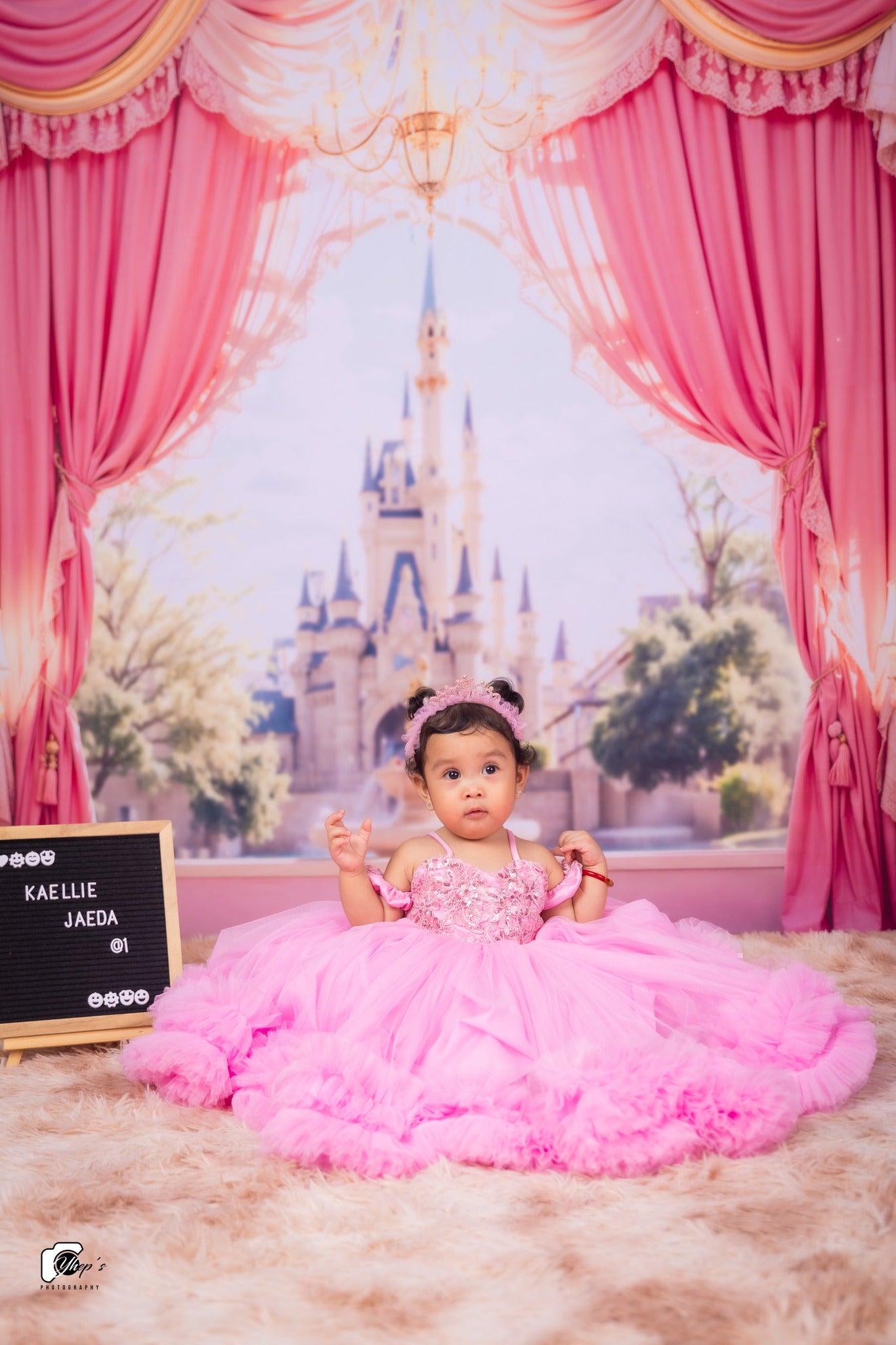 Kate Castle Pink Curtains Window Backdrop Designed by Emetselch