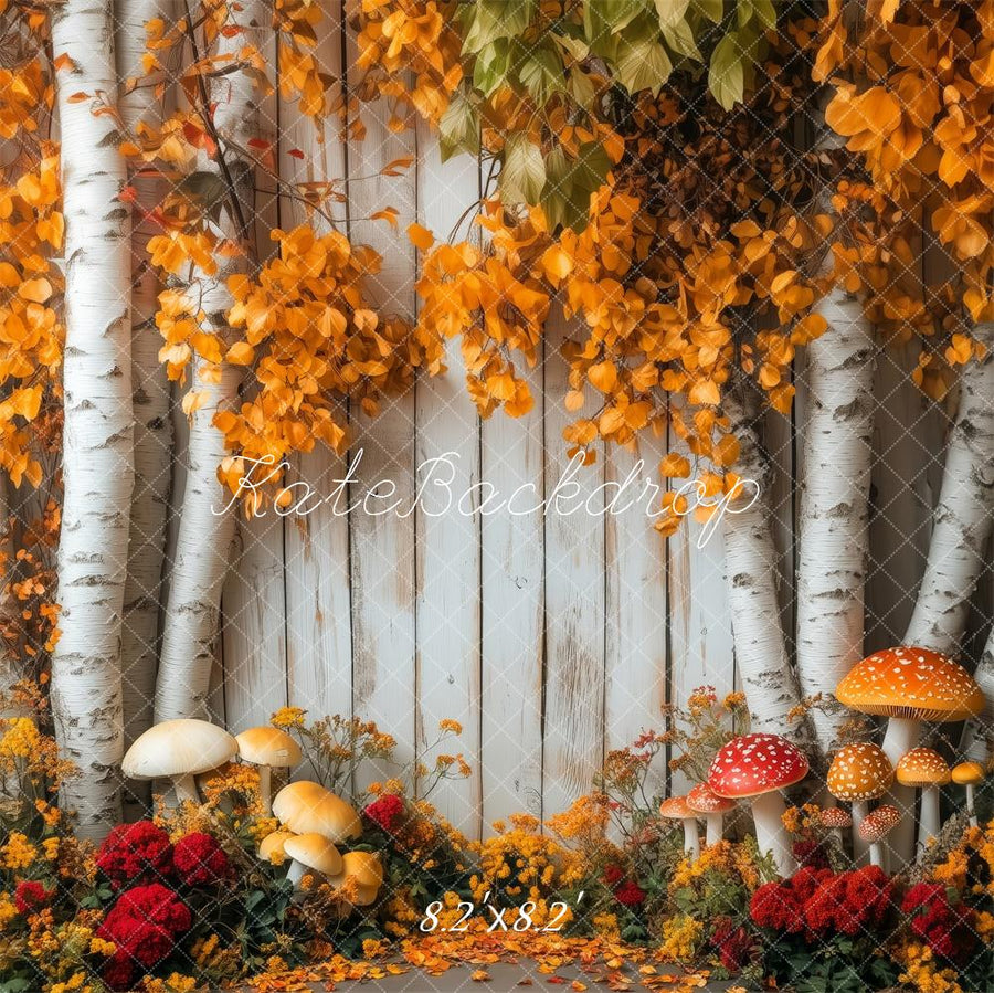 Autumn Birch Forest Mushroom Backdrop