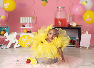Cake Smash Lemonade Stand Pink Foto Achtergrond Designed by Erin Larkins