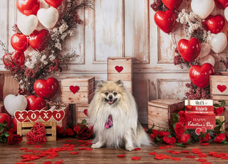 Kate Valentine Heart Balloons Rustic Wood Printed Backdrop Designed by Emetselch