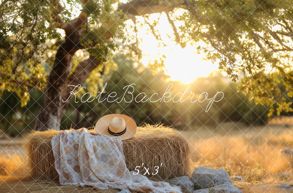 Sfondo per picnic country estivo al tramonto progettato da Patty Roberts