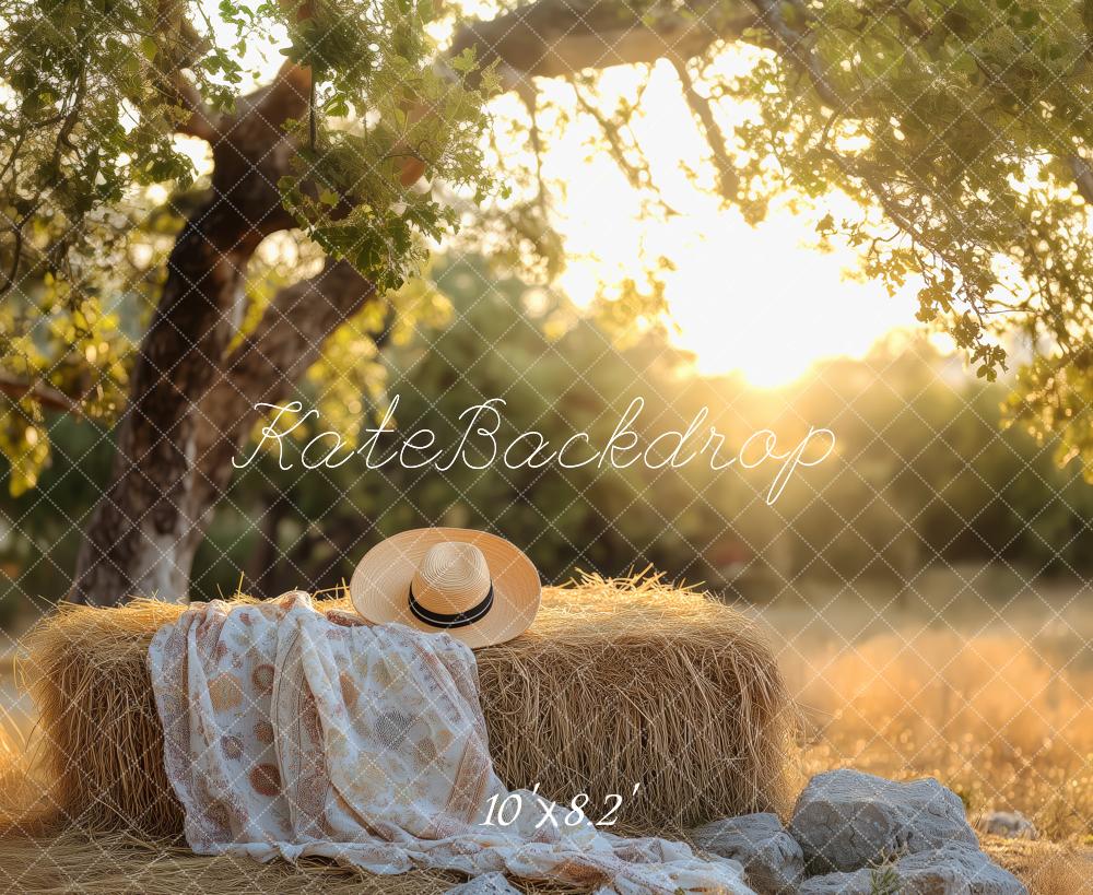 Sfondo per picnic country estivo al tramonto progettato da Patty Roberts