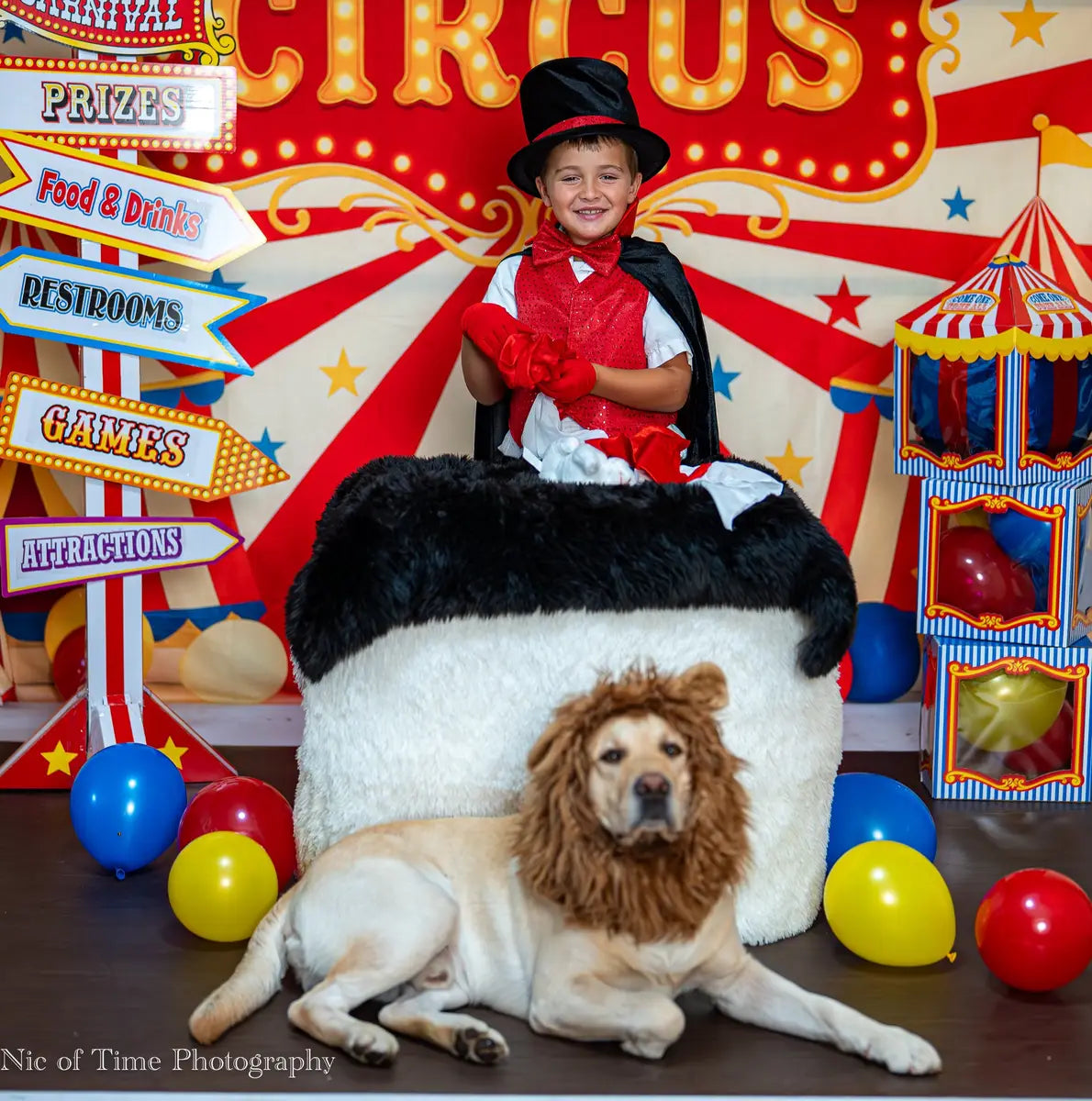 Kate Cake Smash Circus Tent Balloons Backdrop Designed by Patty Roberts